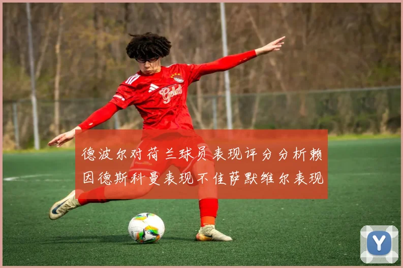 德波尔对荷兰球员表现评分分析赖因德斯科曼表现不佳萨默维尔表现出色